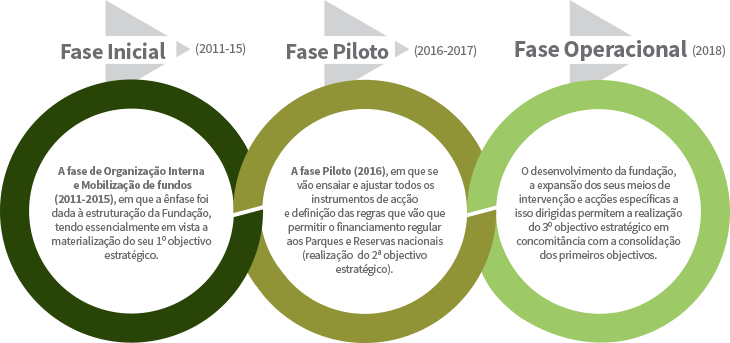 fases-rev-19