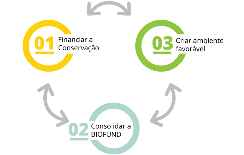 Biofund-Graficos-2