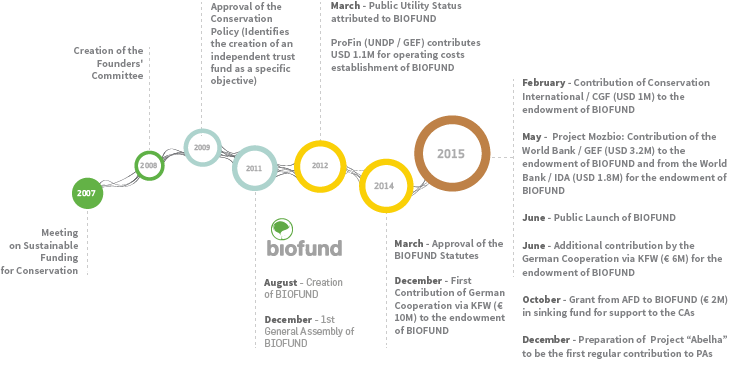 Historial_biofund_grafico_ENG_horizontal_02en