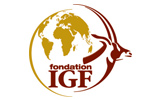 IGF