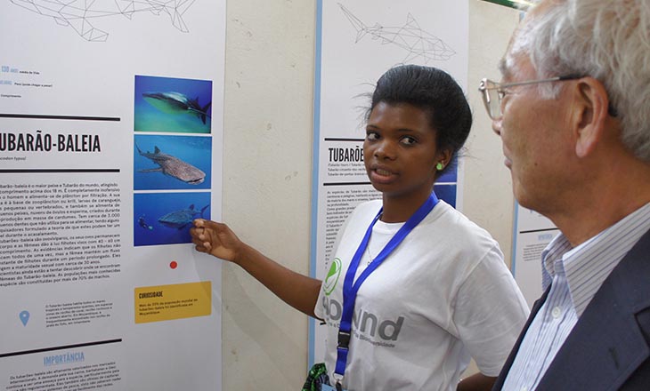 Repetição da Exposição