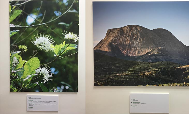 Exposição Namuli