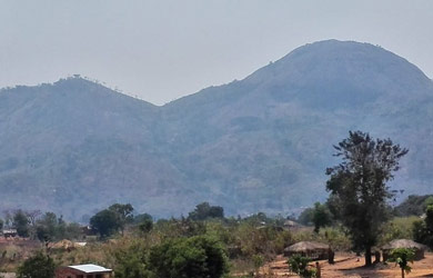 Novo Programa de biodiversidade para a Reserva de Gilé, APAIPS e Monte Mabu