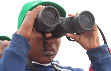BIOFUND Announces the First Contest for Research Grants Concerning Biodiversity Conservation in Mozambique