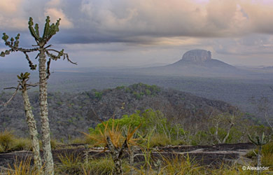 Primeiro Desembolso do Programa Promove Biodiversidade até Junho de 2020