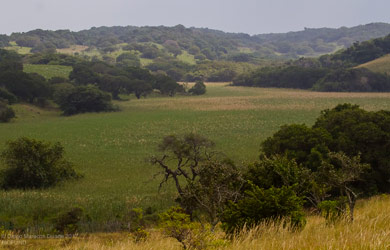 BIOFUND assegura 11 900 000 hectares de biodiversidade protegida até Junho de 2021 em Áreas de Conservação do país