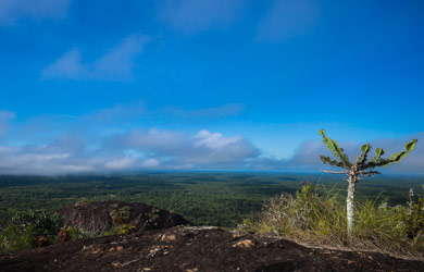 A BIOFUND assina o 1º acordo de subvenção no âmbito do Programa PROMOVE Biodiversidade, para apoio ao Parque Nacional do Gilé.