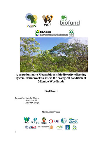 Uma contribuição para o sistema de contrabalanços de biodiversidade de Moçambique: quadro para avaliar a condição ecológica da Floresta de Miombo