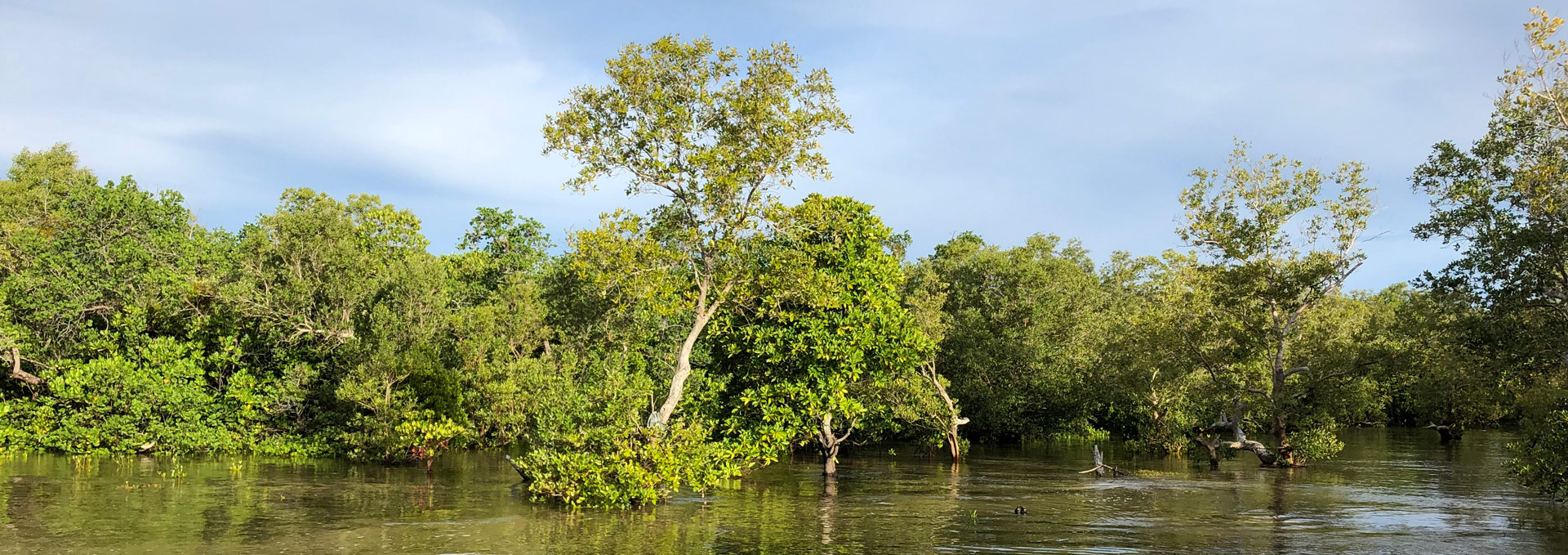 The Biodiversity Offsets Program