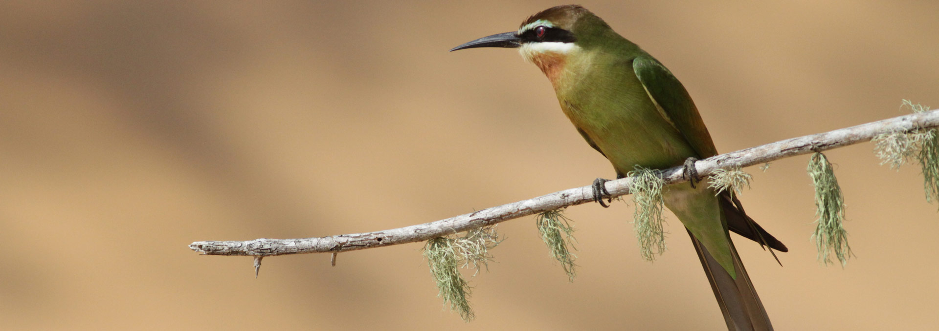 Building a new generation of conservation leaders