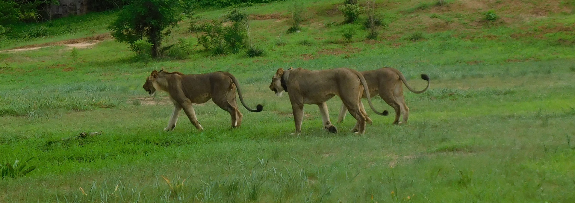Building a new generation of conservation leaders