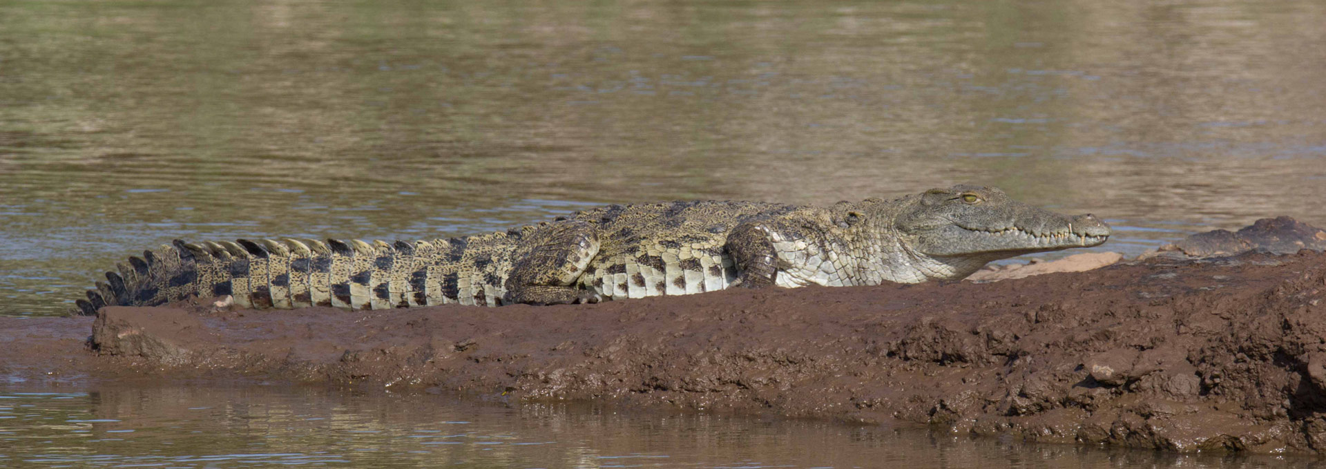 Primeiras and Segundas  Environmental Protection Area