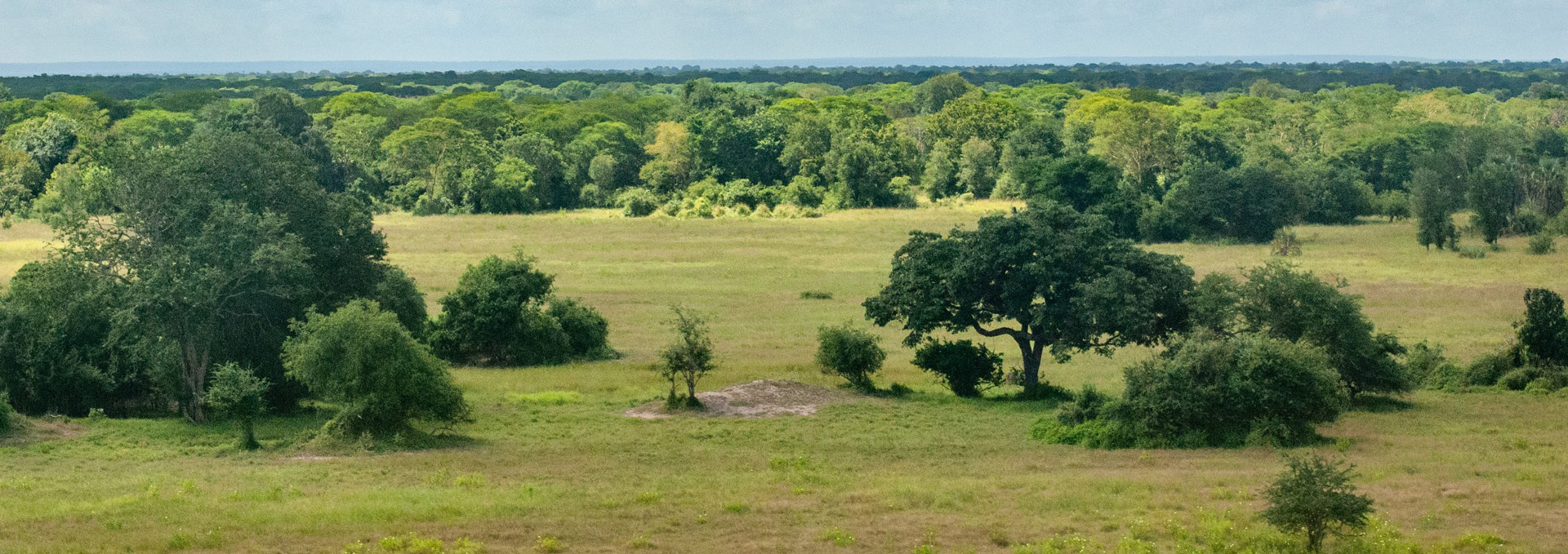 The Biodiversity Offsets Program