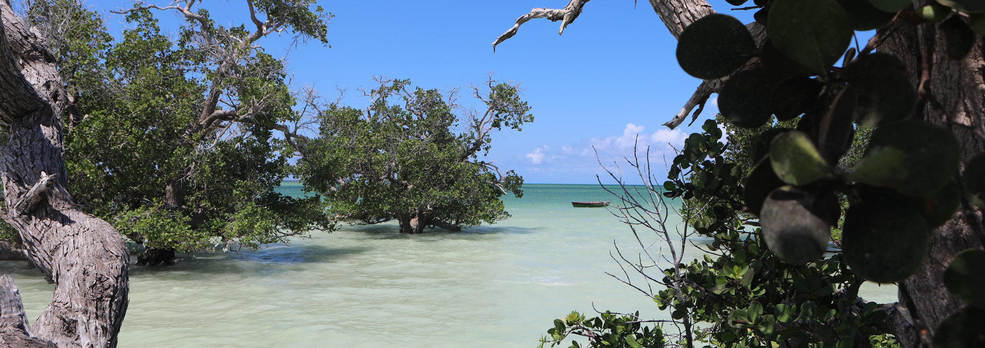 Área de Protecção Ambiental das Ilhas Primeiras e Segundas