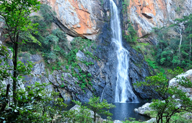 Committee set up to accompany the Biodiversity Conservation and Community Development Project in Chimanimani