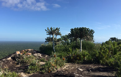 Monte Pope e sua paisagem única: um atractivo turístico por descobrir no Parque Nacional do Gilé