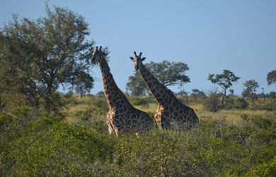 BIOFUND and BCI visit first conservation project supported with funds from the Bio card