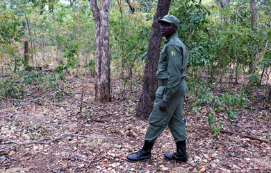 Ranger of the year 2021- António Soze Fombe: “To be a ranger is to give one’s life for the good of conservation without expecting immediate results”