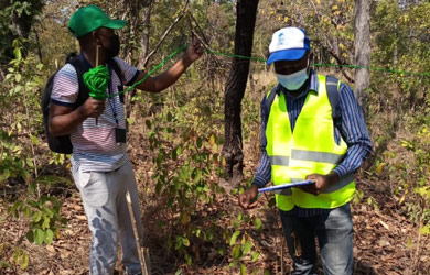 Estagiários do PLCM adquirem experiência em Inventário Florestal na Província da Zambézia