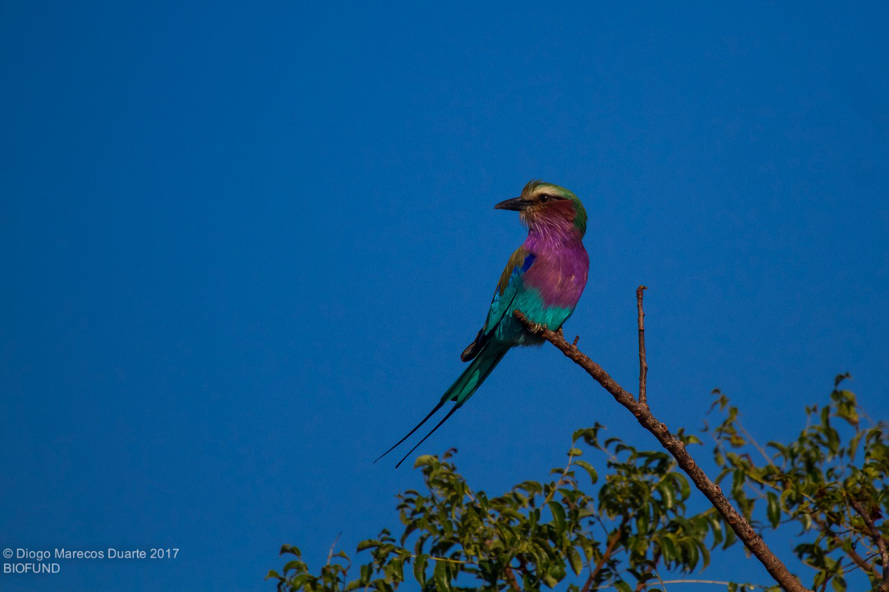 1st winner of the Bio card campaign visits the Maputo Special Reserve