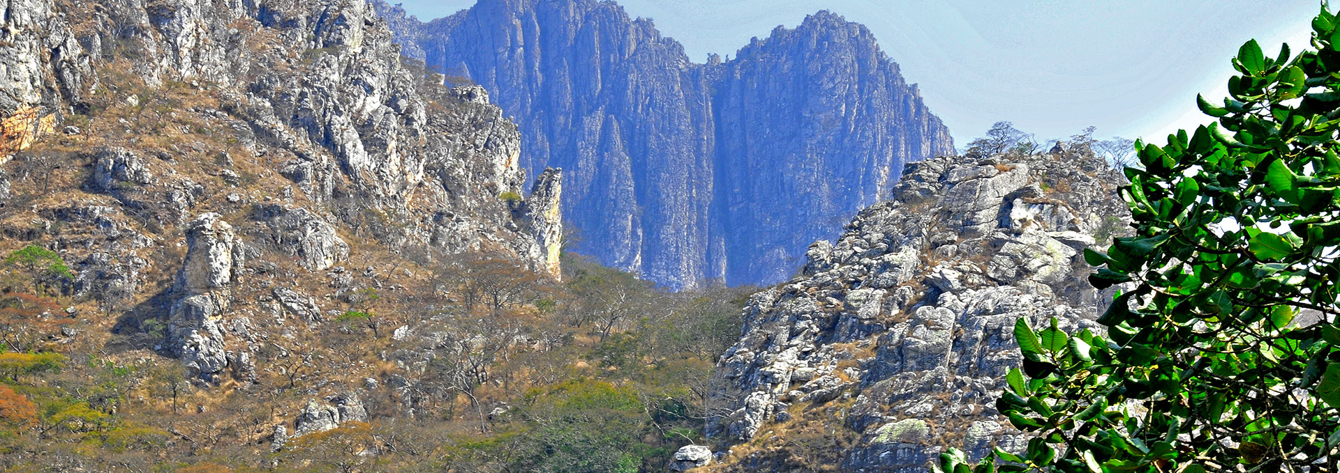 Projecto Chimanimani