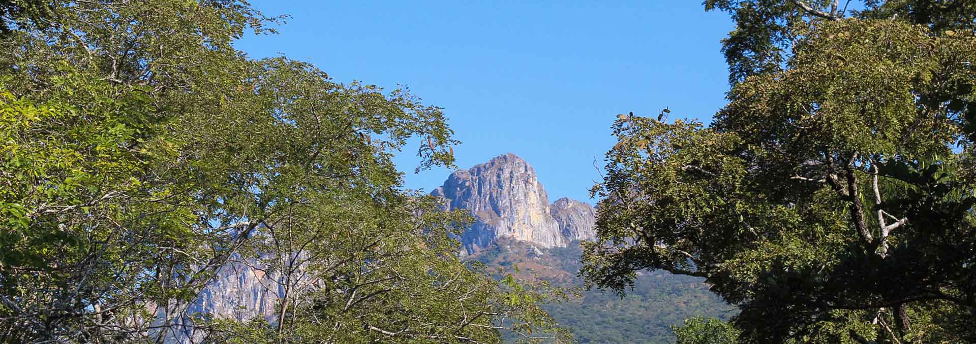 Projecto Chimanimani