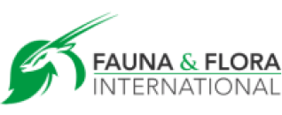 logo-FFI-1-1 1