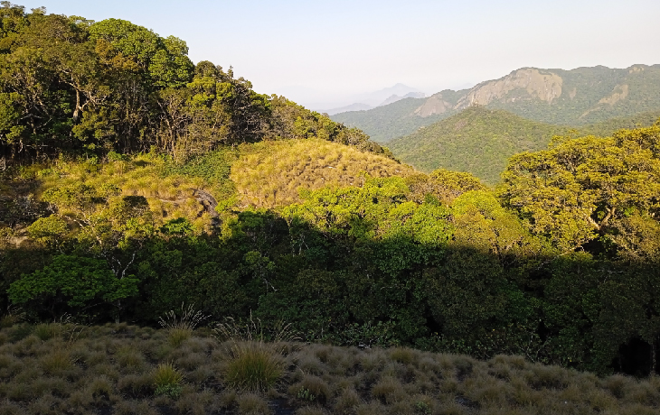 Monte Mabu, uma floresta sagrada e fascinante