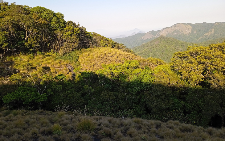 Mount Mabu, a sacred and fascinating forest