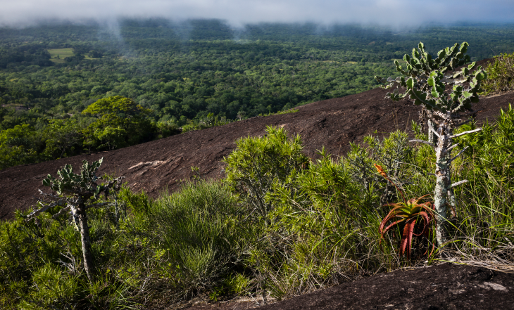 PROMOVE Biodiversidade arranca com pesquisas aplicadas e estudos participativos no Parque Nacional do Gilé