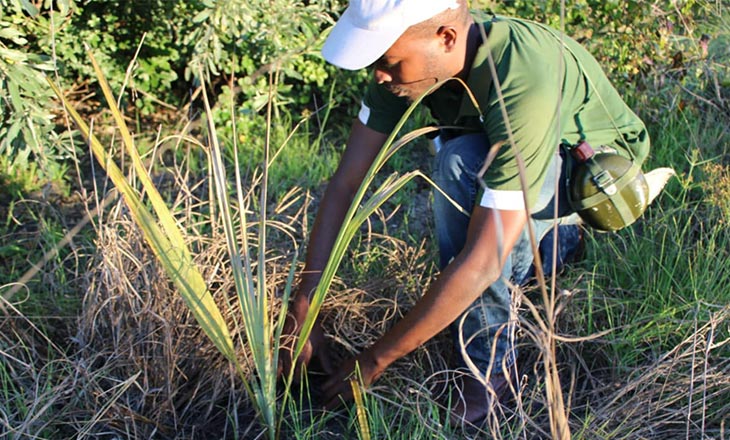 Sérgio Licumba: o jovem que inovou e liderou actividades de promoção da biodiversidade no Parque Nacional de Banhine