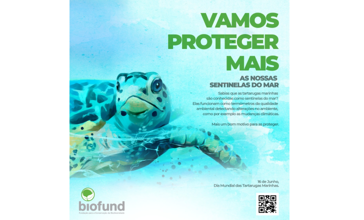 BIOFUND e Parceiros Celebram o Dia Mundial da Tartaruga Marinha com Evento de Promoção da Biodiversidade da APAIPS
