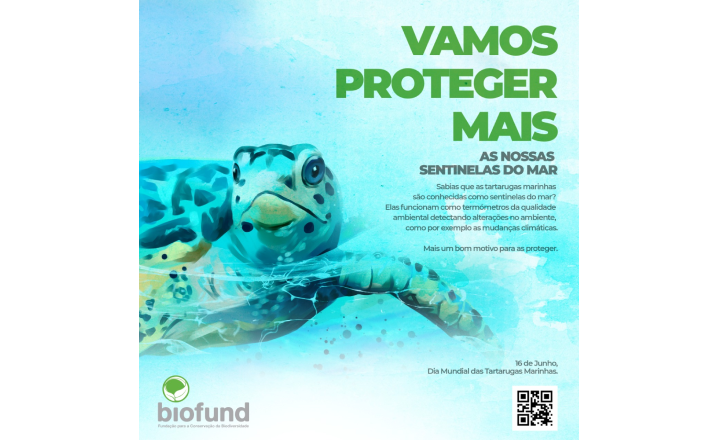 BIOFUND and Partners Celebrate World Sea Turtle Day with APAIPS Event