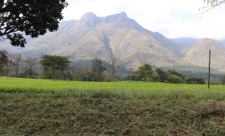 Troca de experiências com o Mountain Mulanje no Malawi traz novas abordagens de conservação comunitária para Moçambique