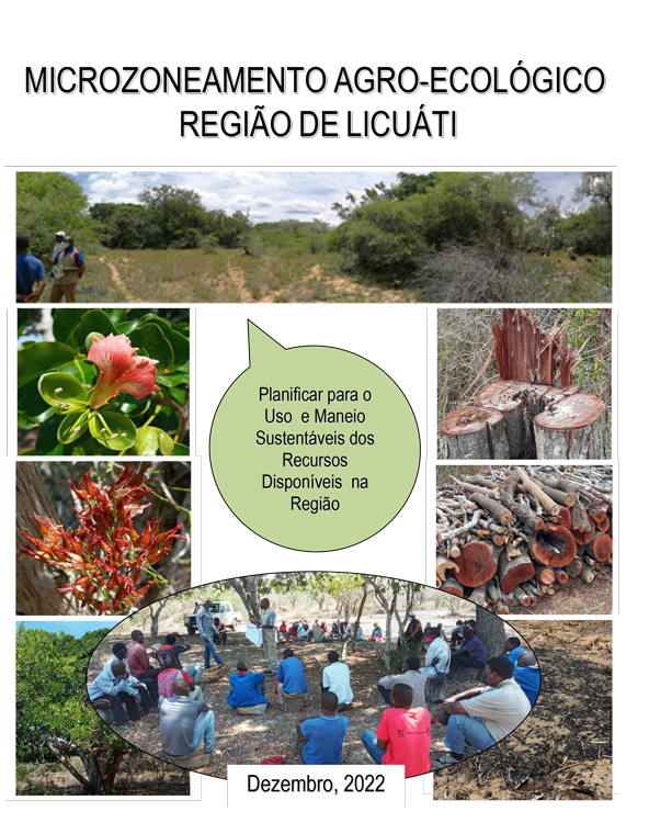 Microzoneamento Agro-Ecológico, Região de Licuáti