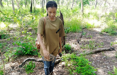 Inovação e Liderança na Conservação: Uma Jovem Estagiária transformada numa Agente de Mudança no Parque Nacional do Gilé