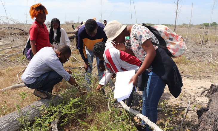 Students from Eduardo Mondlane University Receive Training in Ecological Restoration at Maputo National Park