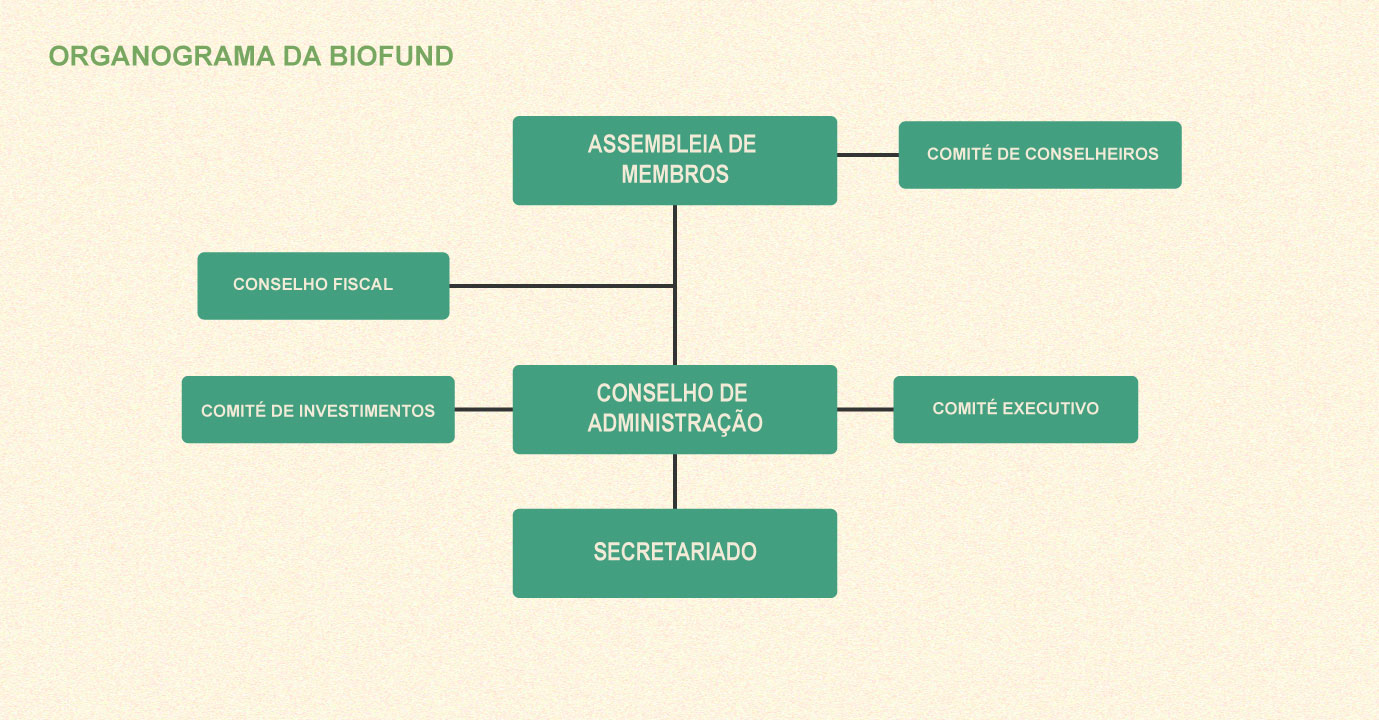 Fundo Armênia apresenta relatório de realizações e lista de beneméritos  doadores de 2020