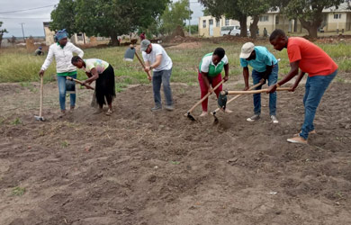 Formação em Agricultura Sustentável Promovida pelo PROMOVE Biodiversidade e Agribiz Impulsiona Resiliência Climática na Zambézia