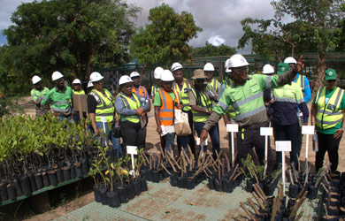 Programa COMBO+ promove uma visita de troca de experiências sobre as boas práticas de implementação da Hierarquia de Mitigação de Impactos na Biodiversidade entre as autoridades do governo e a empresa KENMARE Resources plc em Nampula