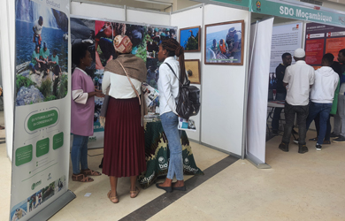 PLCM Atrai mais de 200 Jovens na Feira de Emprego e Empreendedorismo em Maputo