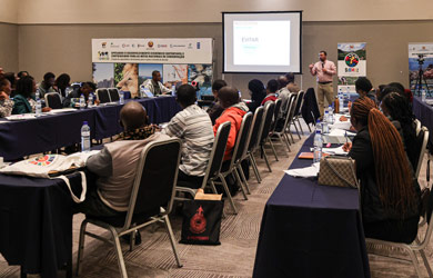 Moçambique aposta na capacitação de jovens académicos para garantir a implementação efectiva do quadro legal do processo de avaliação de impacto ambiental e de contrabalanços de biodiversidade