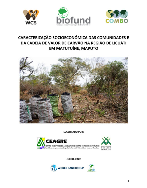 Caracterização socioeconómica e análise da cadeia de valor de carvão na região de Licuáti