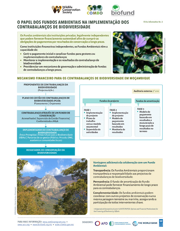 Ficha informativa 6 – O papel dos  fundos ambientais na implementação dos contrabalanços de biodiversidade