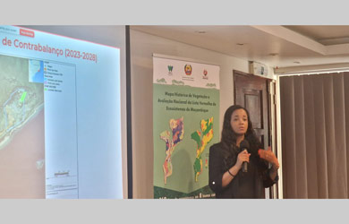 Unidade Técnico-Cientifica reunida para discutir o primeiro Plano de Gestão de Contrabalanços de Biodiversidade a ser implementado em Moçambique
