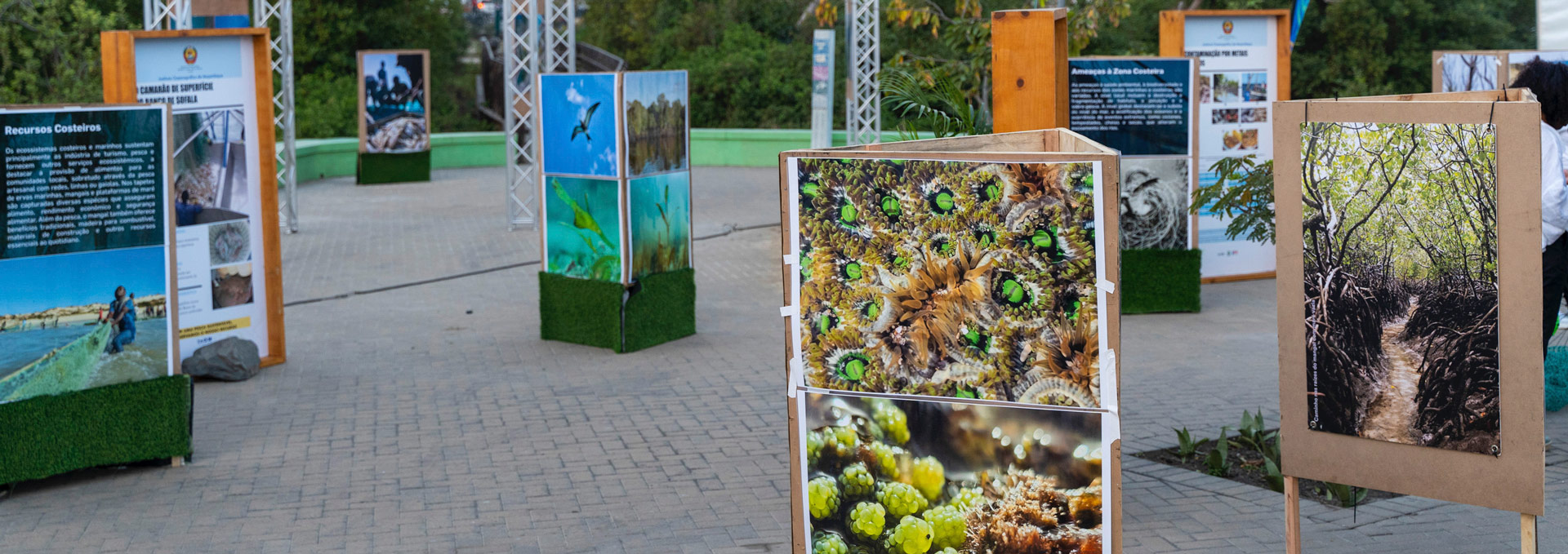 BIOFUND_3CBM_2025_353