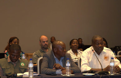 Moçambique inicia os preparativos para o Censo Nacional de Elefantes e de Grandes Mamíferos