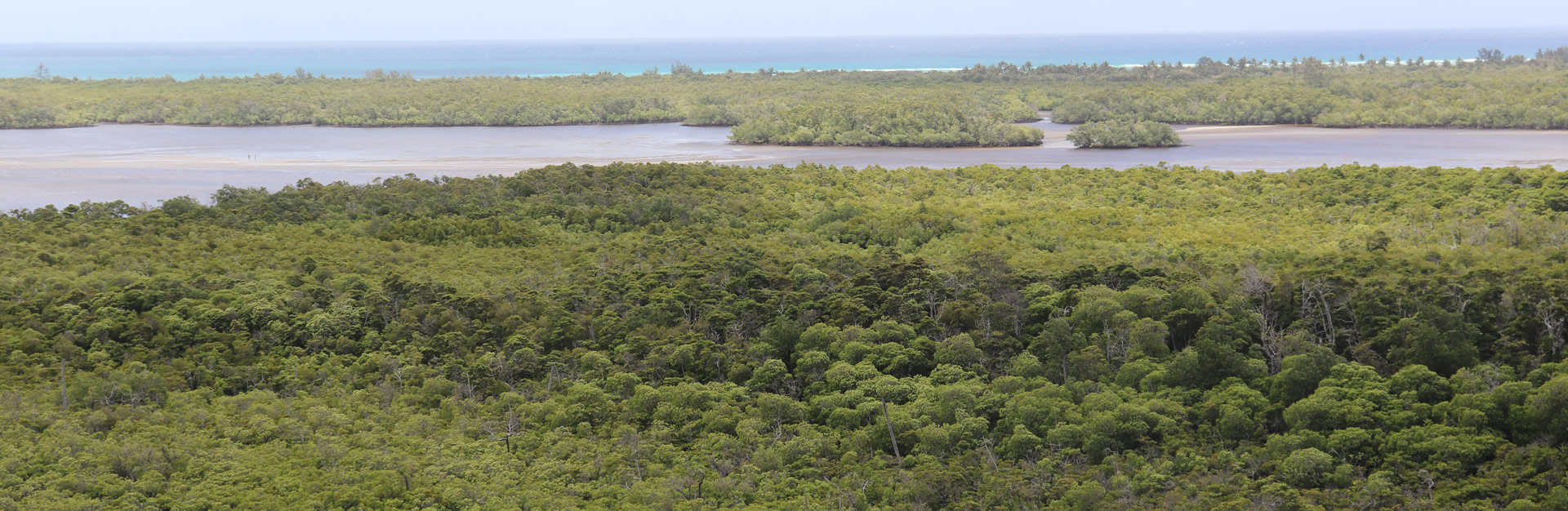 Projecto ASA / Áreas de conservação sem apoio