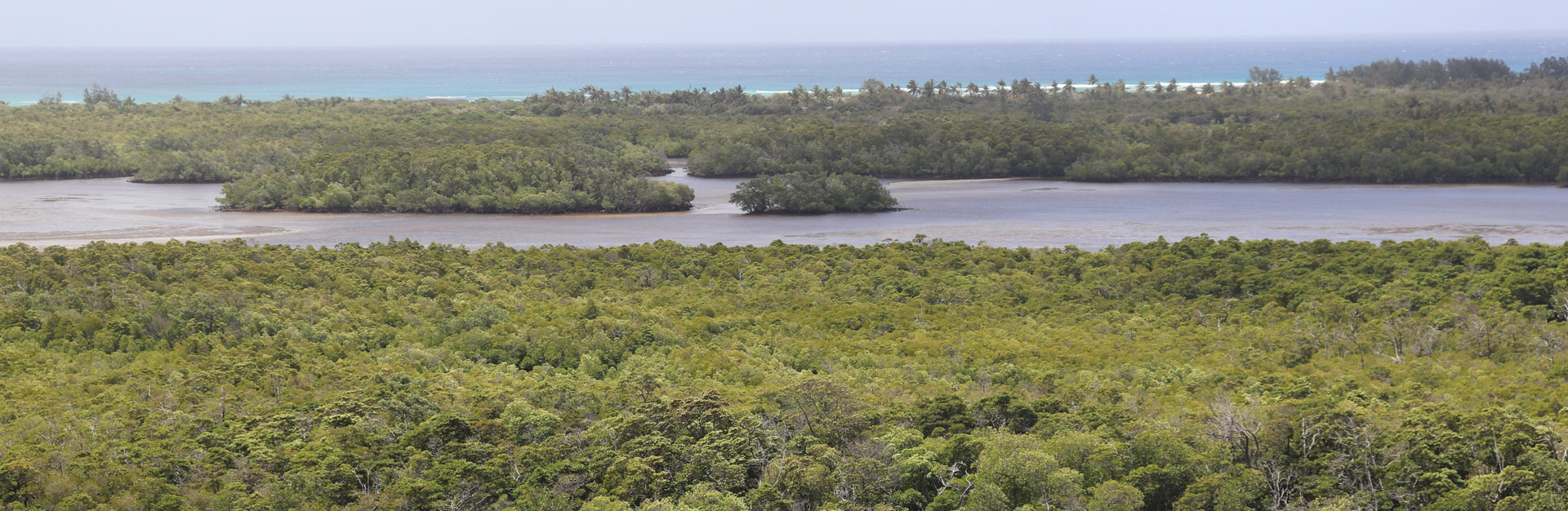 Projecto ASA / Áreas de conservação sem apoio