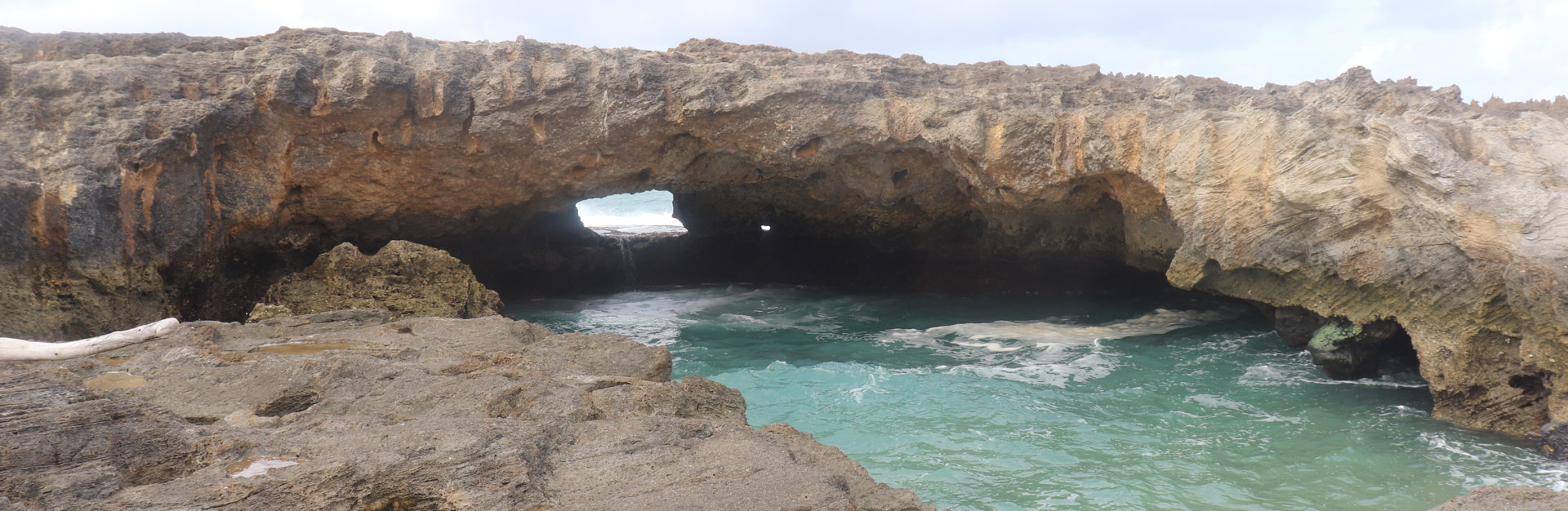 Projecto ASA / Áreas de conservação sem apoio